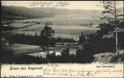 Inne ujęcie doliny Szmelty w okolicach byłego młyna wodnego Riebanta. Pocztówka wydana we wrześniu 1901 roku