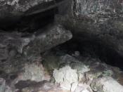 Jaskinia Lisia