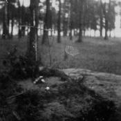 Zdjęcie z lat 60. przedstawiające mogiłę zamordowanych żołnierzy, których ciała ekshumowano później na cmentarz na Zarzewie. Fot. z Facebooka Kompanii Brus
