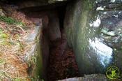 Jaskinia - wejście