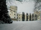 Zamek zimą