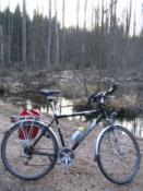 Las na bagnach i rower na bagnach :)